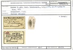 Karteikarte zum Syntyp von Spiroloculina berchtoldsdorfensis Karrer, 1877